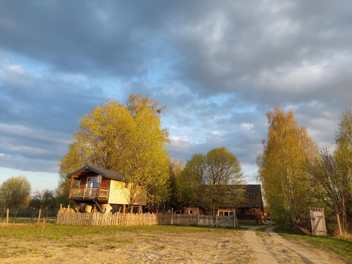 Domek na drzewie Trzescianka Zewnętrze zdjęcie
